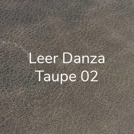 Leder Danza Taupe (02)